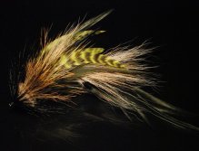 Another fly tied in tan, blacks and brown bucktail with black Chinese cock saddles 6 grizzly  chartreuse schlappen. The head is tightly packed deer hair