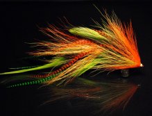 This is a mix of Chartreuse , Orange & yellow bucktail combined with chartreuse Chinese cock hackles & hot orange and green grizzly microbarb saddles