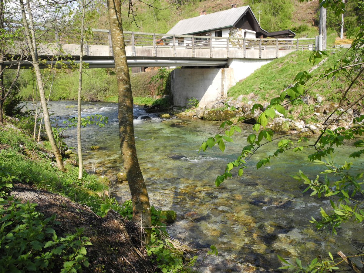 Pool under the bridge