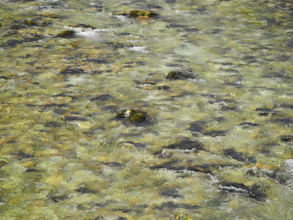 Colour combination - made by mother nature