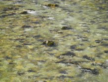 Colour combination - made by mother nature