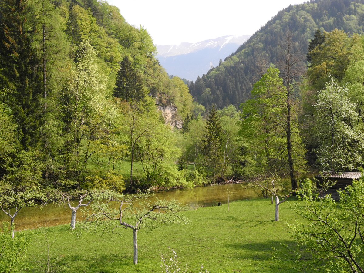 Slow part of the river