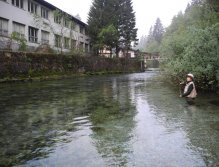 Early morning above the Vintgar gorge