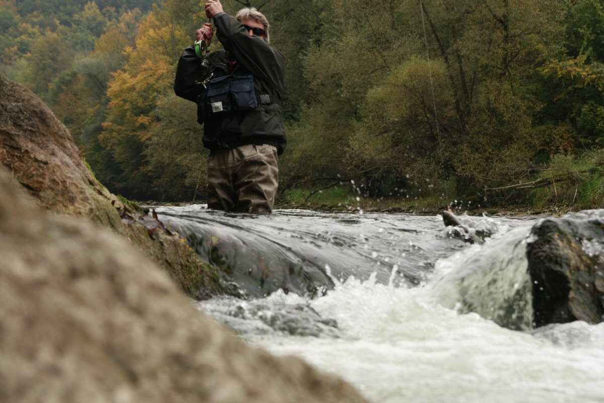 Roman Moser in action