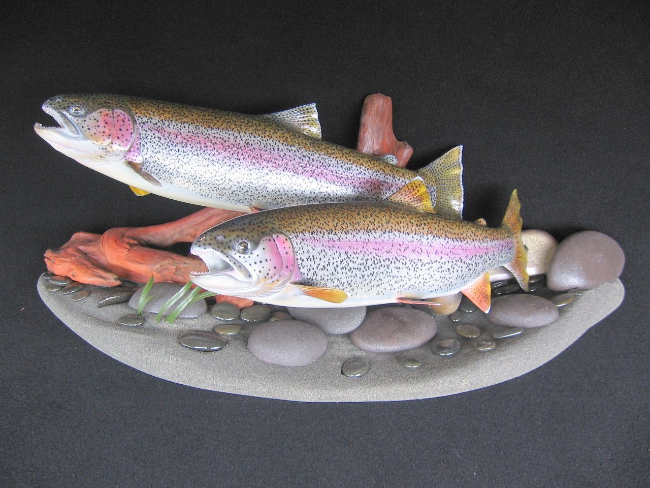 Double Alaskan Rainbows featured on streambed sandbar wall display