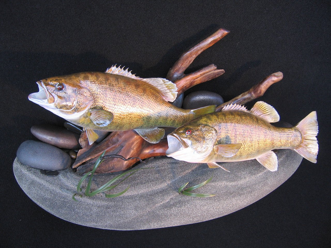 Double Largemouth Bass Replicas on Lakebottom Wall Display