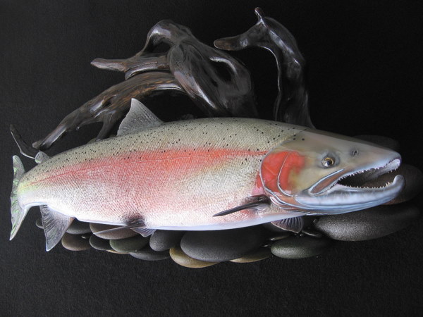 British Columbia Steelhead Replica featured on streambed wall mount