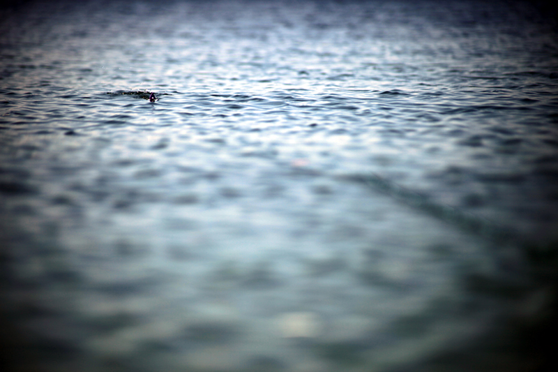 Jay Paulson's Titanice surface popper being pursued.  Cutthroat on the surface might be one of the most exciting ways to fish in this region of the U.S