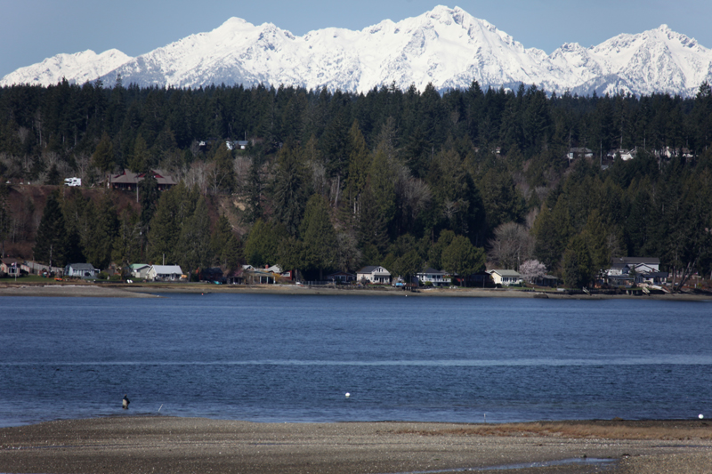Jim Witwer fishing in the shadow of the Olympic Peninsula's majestic mountains on a winter day