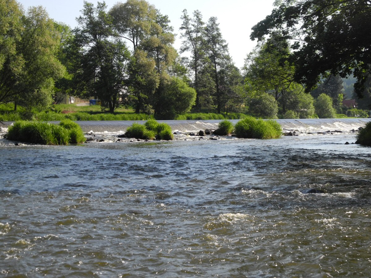 Good Coarse Fish Water Under the Weir