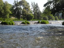 Good Coarse Fish Water Under the Weir