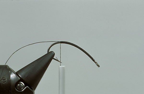 Step2  Tie in 0.20mm/0.08" diameter clear monofilament for use as rib and to create the body segmentation