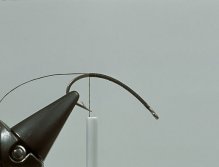 Step2  Tie in 0.20mm/0.08" diameter clear monofilament for use as rib and to create the body segmentation