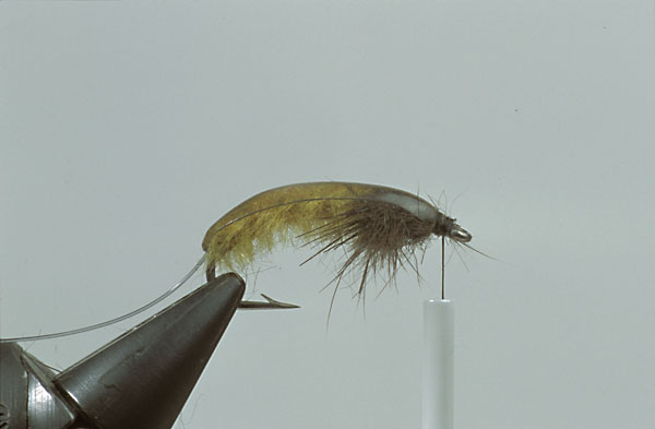 Step8  Pull over the flexibody. Secure it with your tying thread