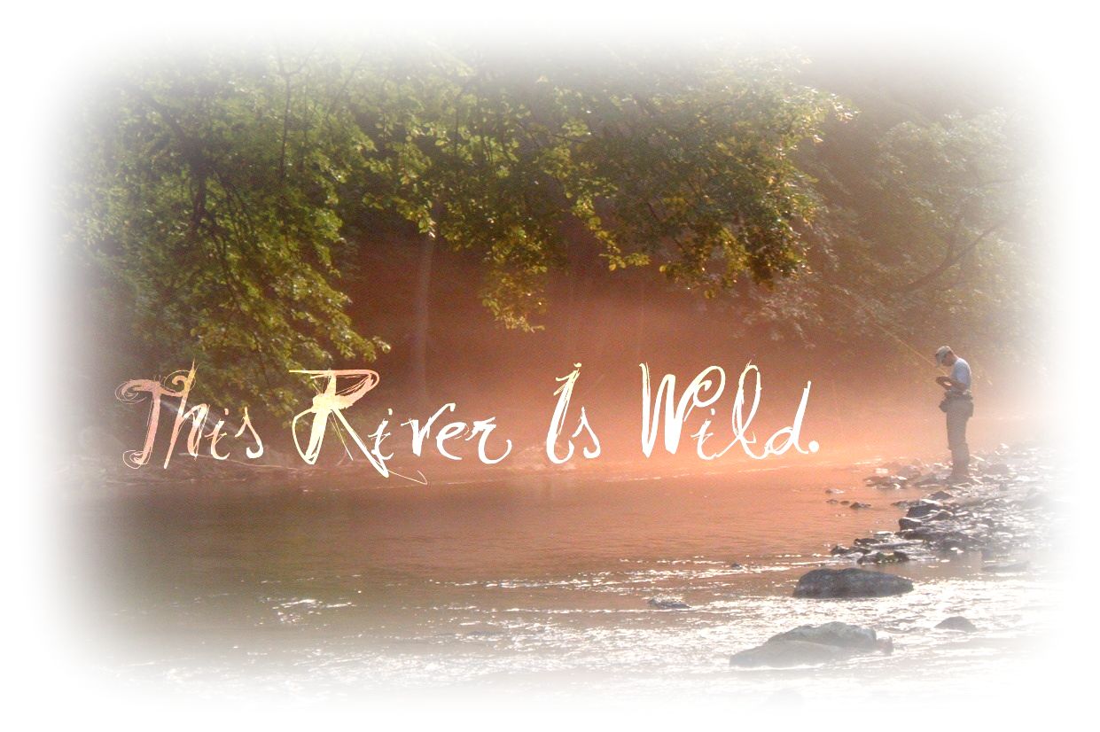 Morning on the Little Lehigh