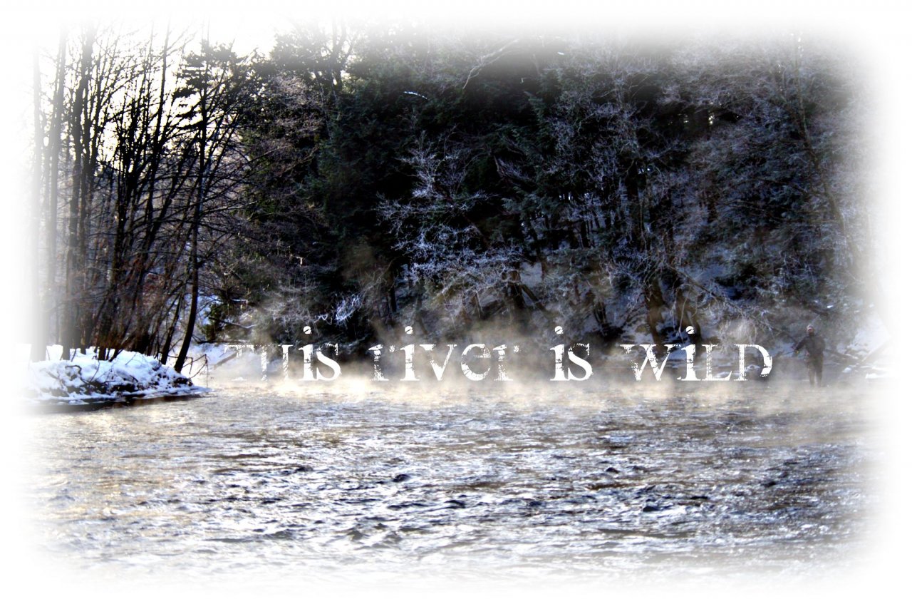 4 Degree Morning on the Salmon River