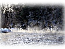 4 Degree Morning on the Salmon River