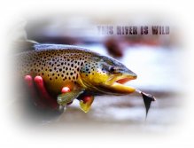 Tubefly Brown Trout