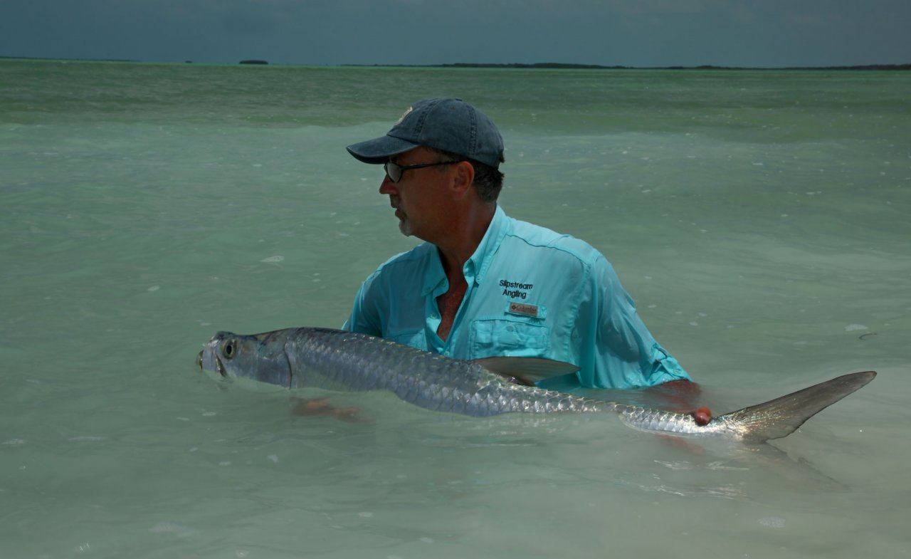 Rich Water Tarpon