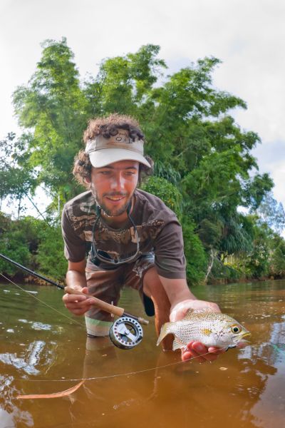 Jungle perch on a small gurgler with a 2wt rod. An exciting fish with small tackle. Those fish have the behaviour of Black Bass