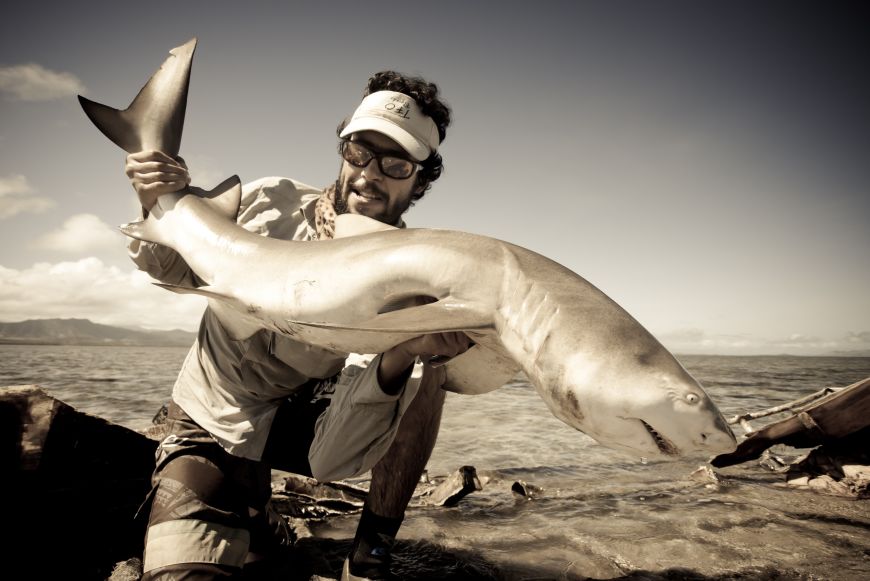A nice lemon shark sight fished on fly. I don't know why, but this fish got all of my respect