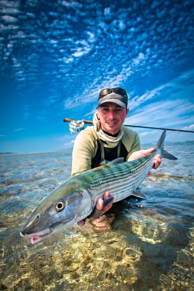 While Seb was fighting this fish, i have to put off some black tip shark