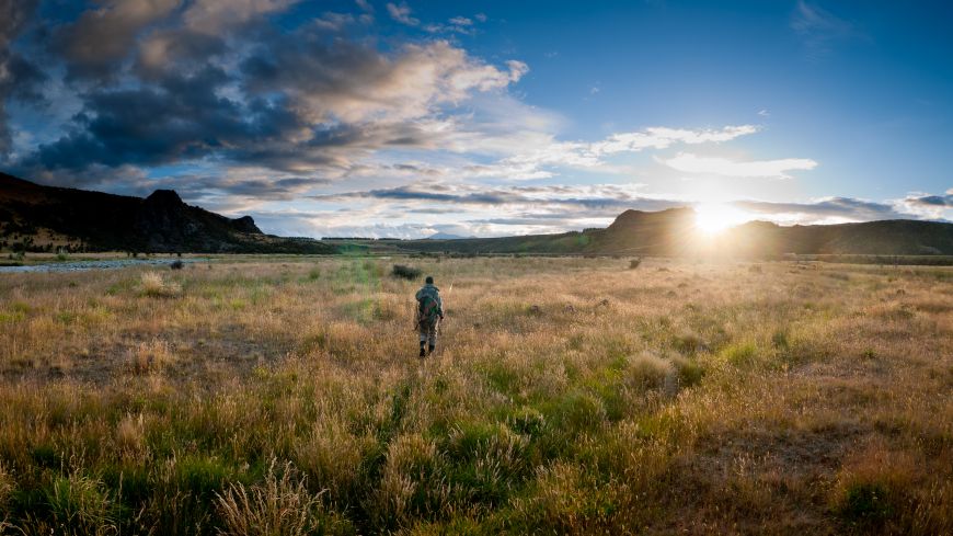 Long walk to the car in the golden hour... NZ