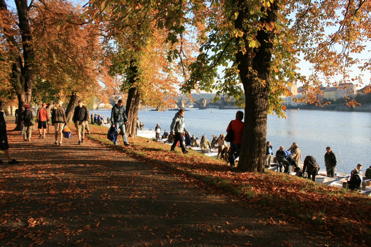 Before the competition starts...