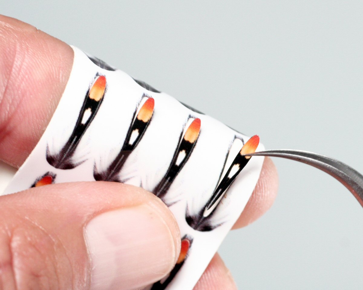 Separating the JC imitation