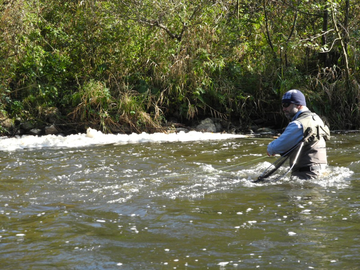 Fighting the current