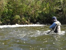 Fighting the current