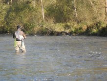 Early morning streamer fishing