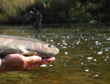 Fish and the Fisherman