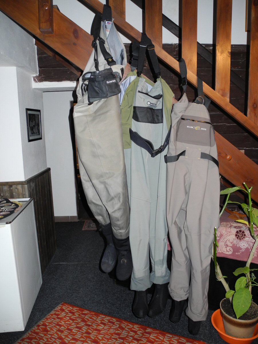 Waiting for their masters