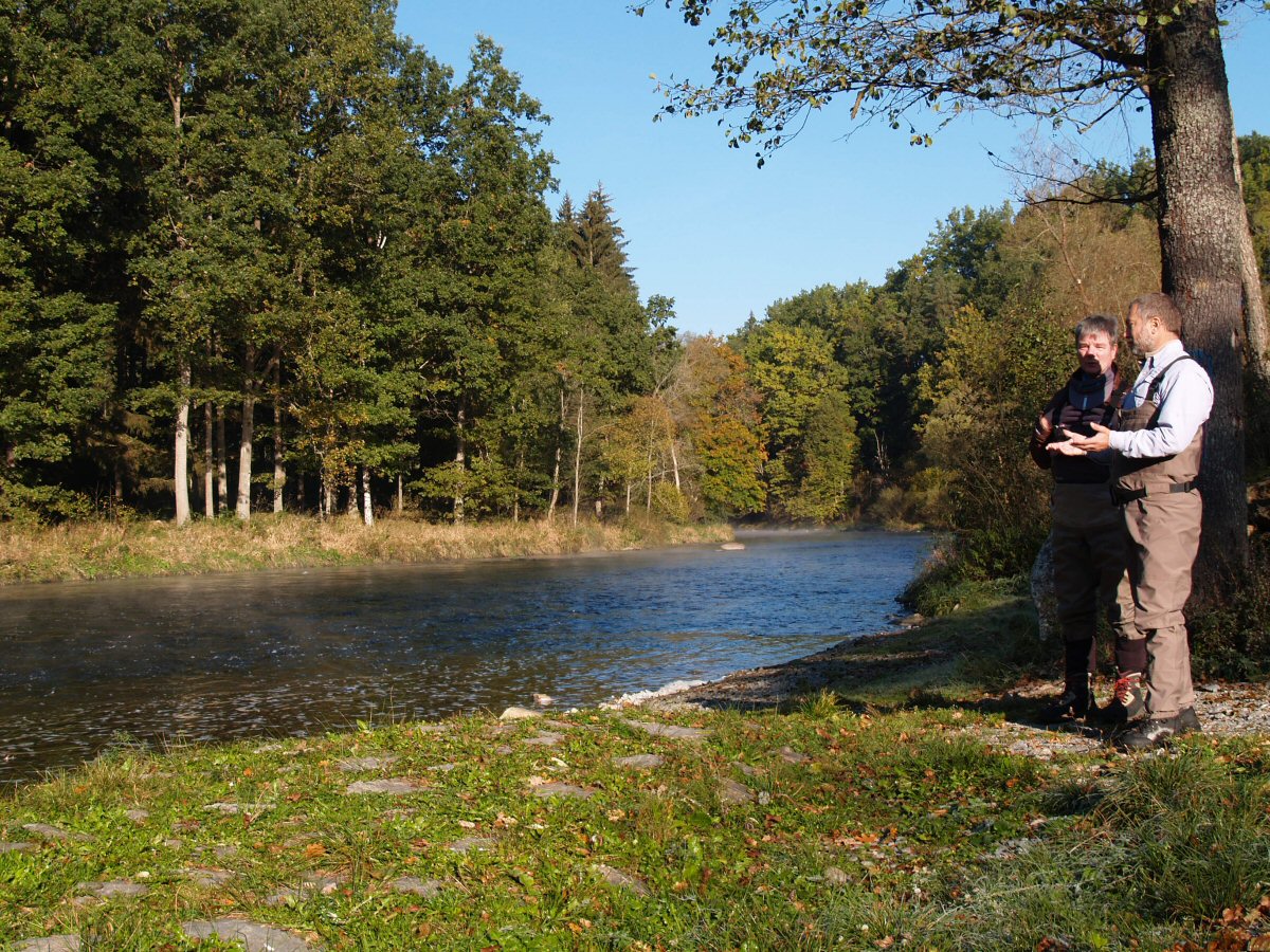 Morning river meeting