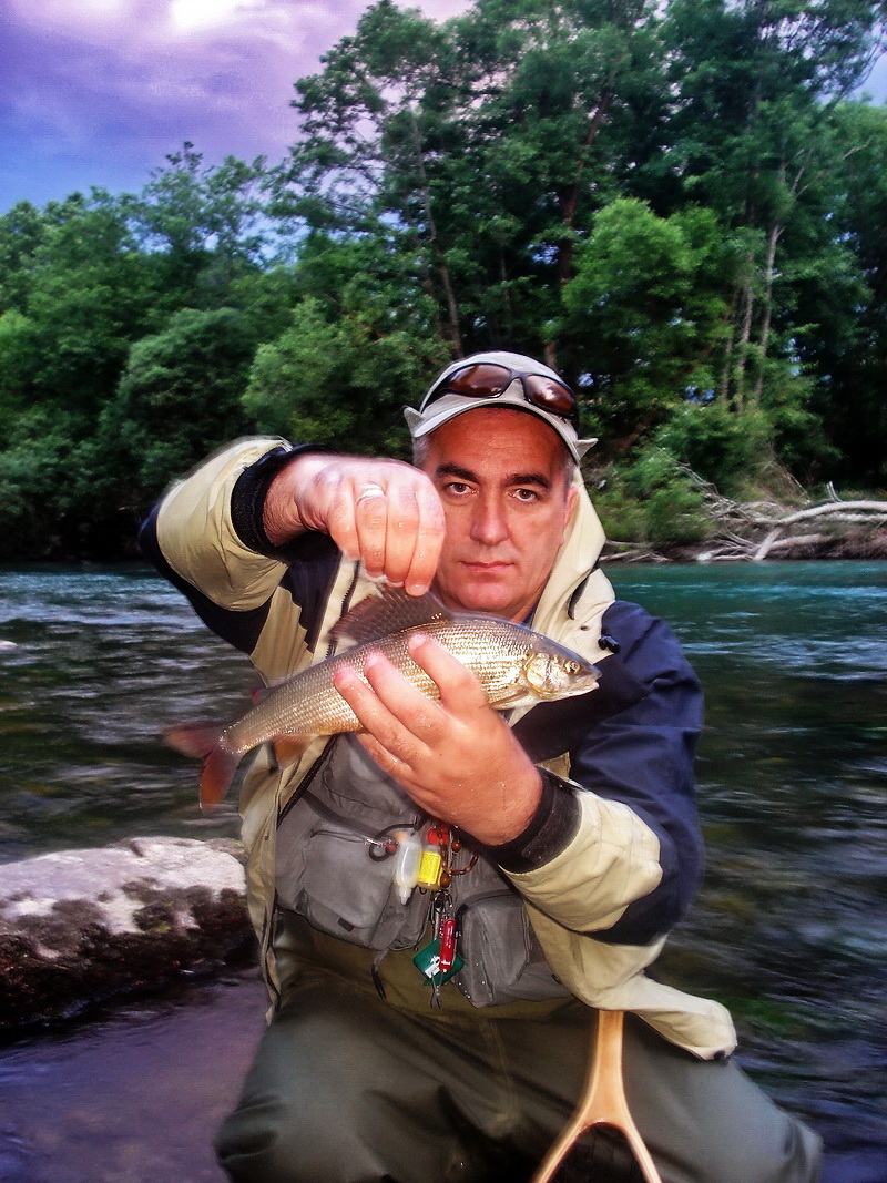 Murino with Grayling