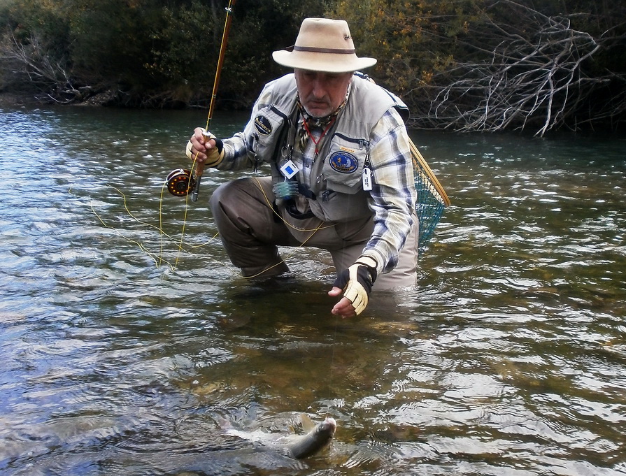 Fly Fisherman