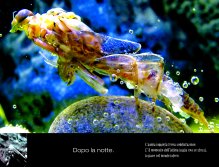 AFTER THE NIGHT. Many restless soul find satisfaction at night. It’s the moment of an intimate lie to oneself, in peace with the world