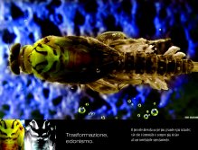 TRANSFORMATION, HEDONISM. That which is mall becomes a little larger by the instant and that which is immobile even closer to it’s inevitable movement