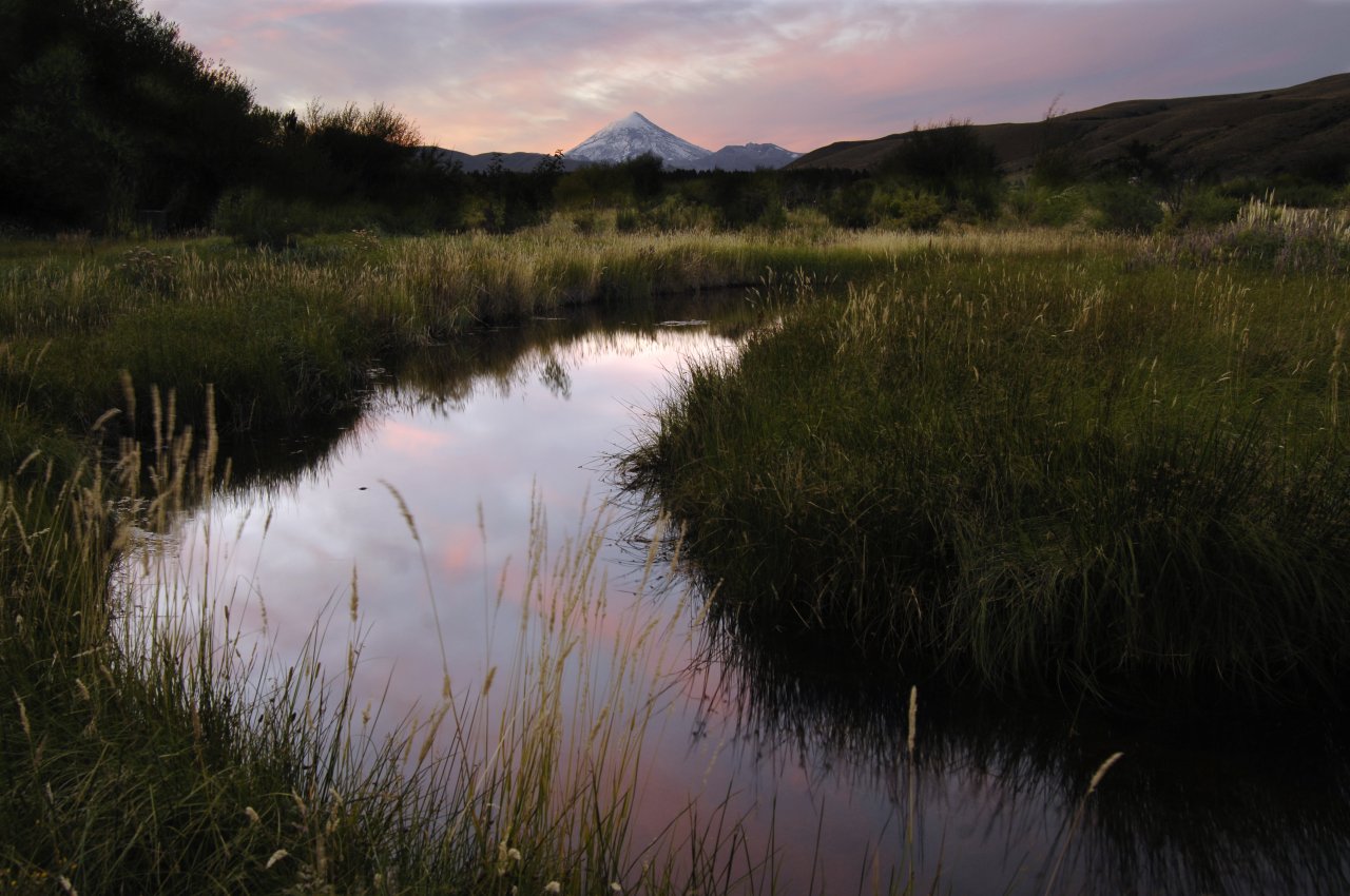 Feeding time at low light