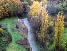 Midstream "Blues vir"