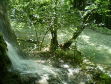 Spring of "Prskavac"