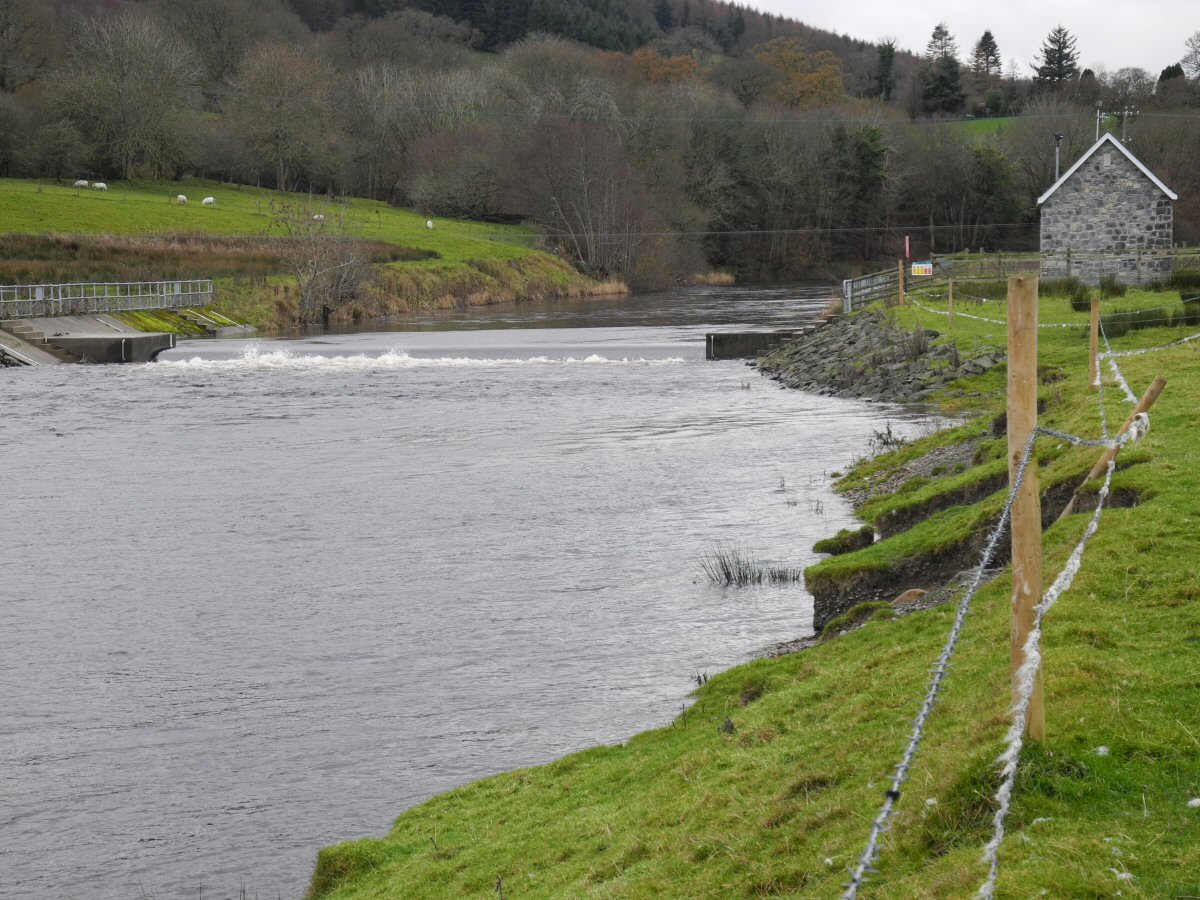 Weir near Bala