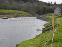 Weir near Bala