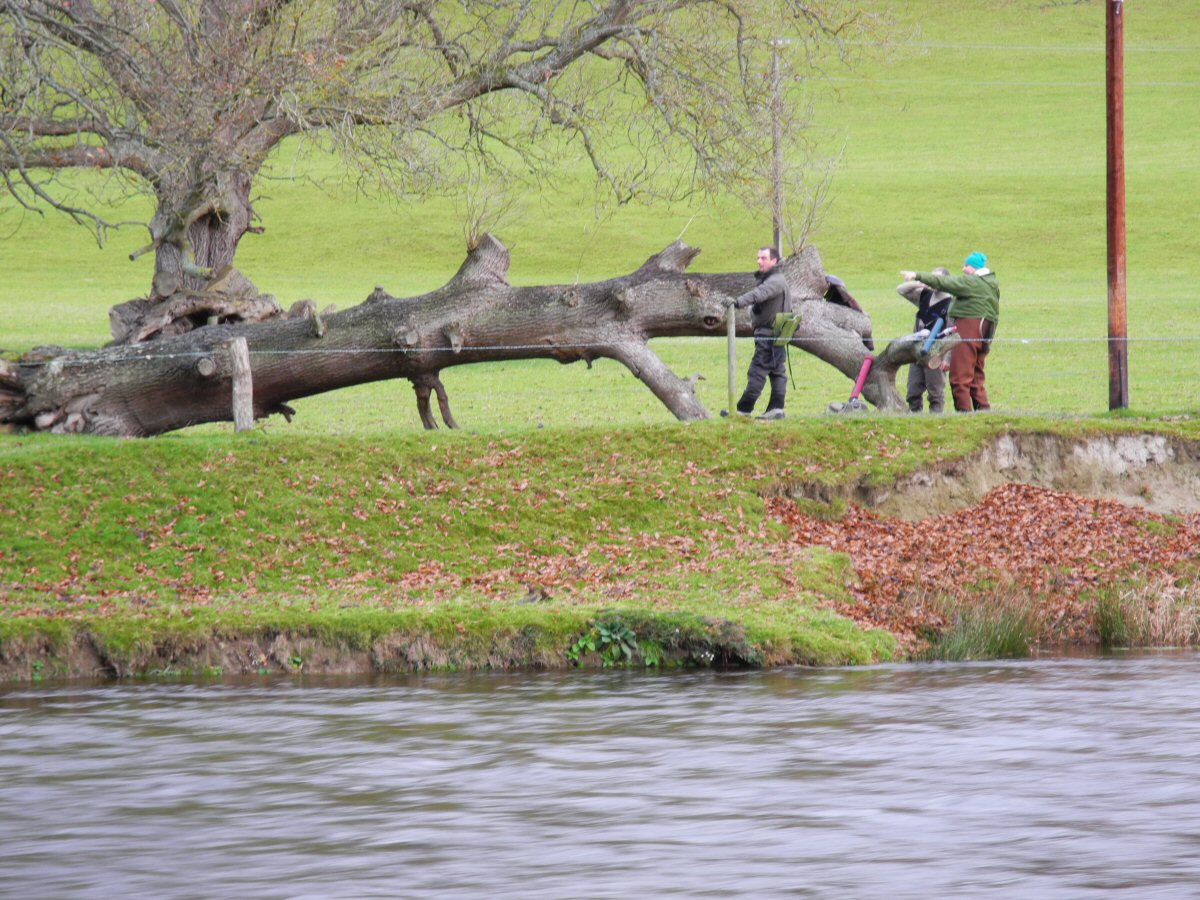 Sunday tactic discussion