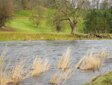 Nice grayling stretch