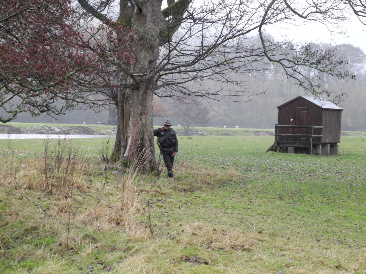 Hiding from cold rain and strong wind
