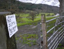 Salmon's territory nearby