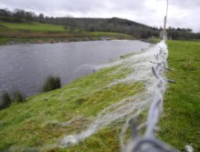 Do not test you waders here...