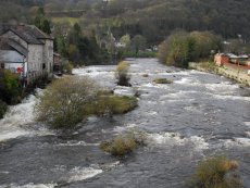 Grayling Festival 2011, Welsh Dee